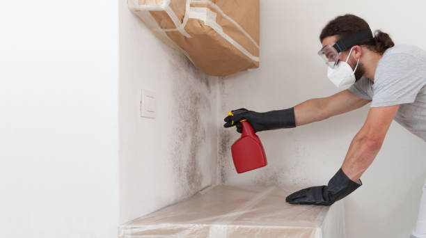 Professional Crawl Space Mold Remediation technician working in Woodville, FL